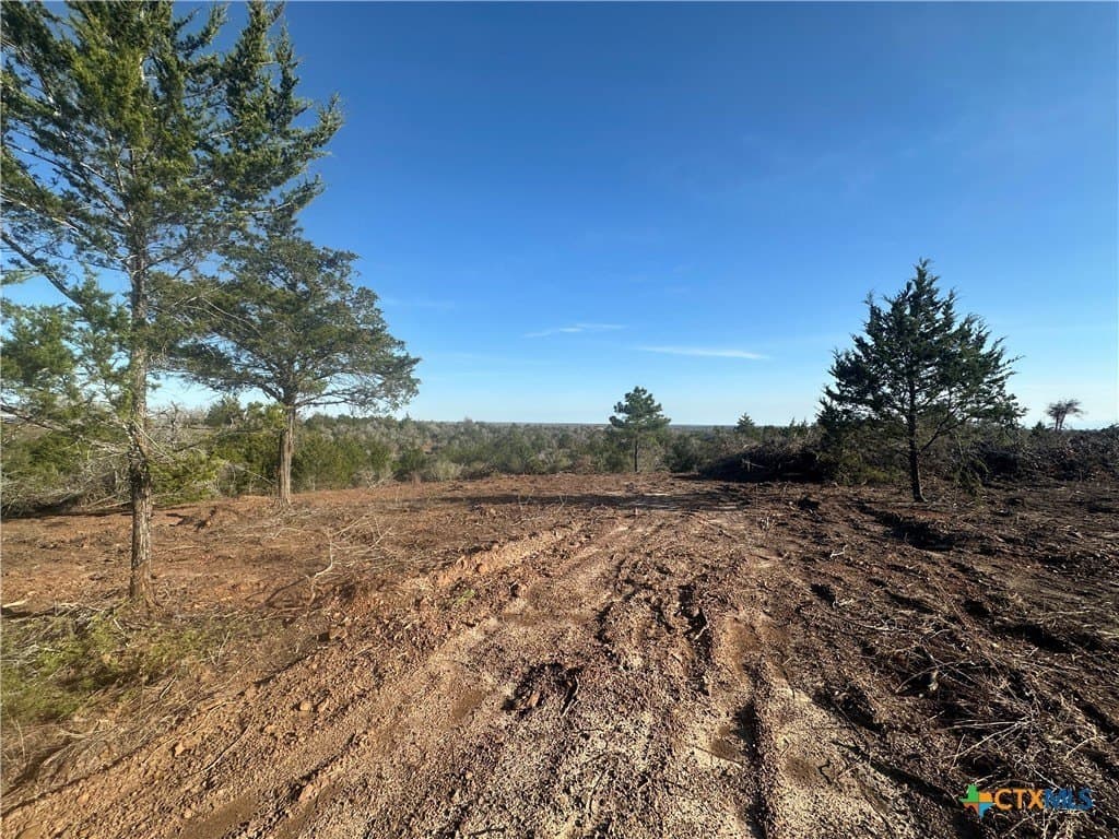 88.41 acres in Caldwell County gallery image 3