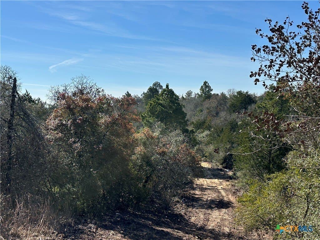 88.41 acres in Caldwell County - photo 10
