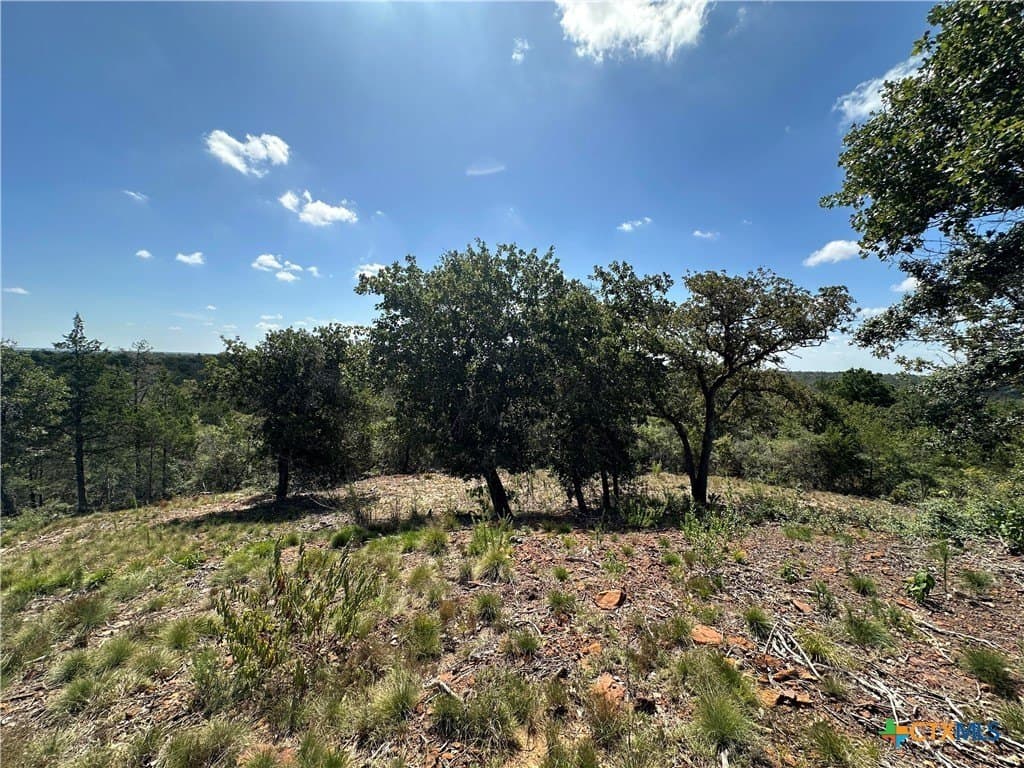 88.41 acres in Caldwell County - photo 30
