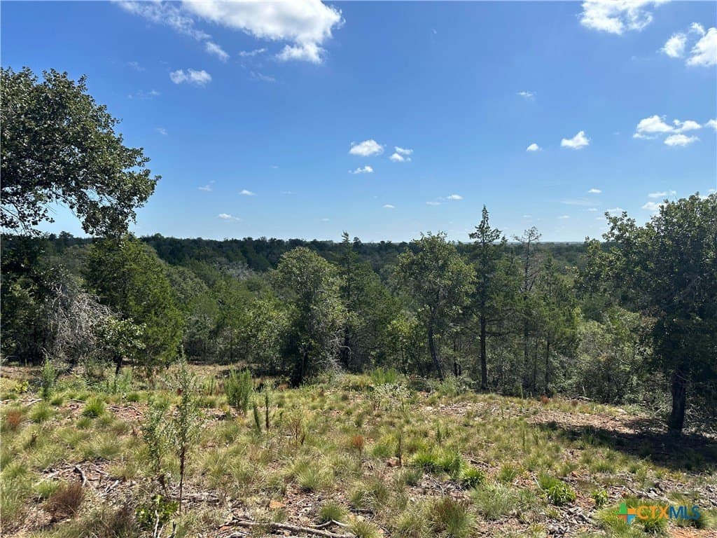 88.41 acres in Caldwell County - photo 21