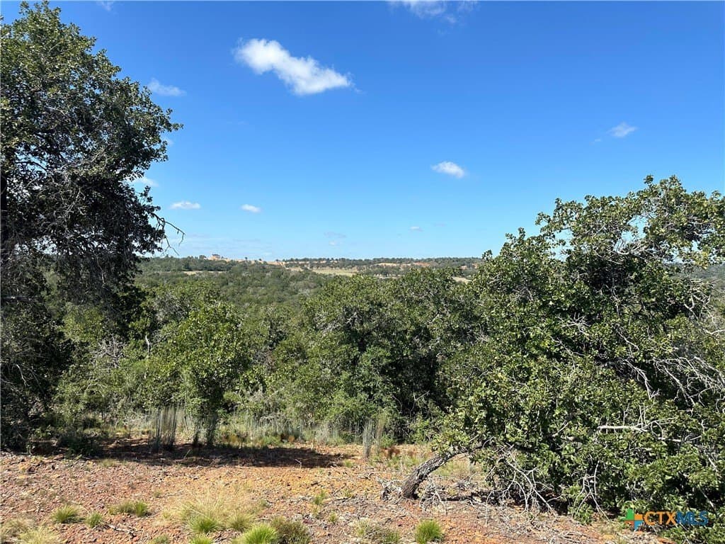 88.41 acres in Caldwell County - photo 22