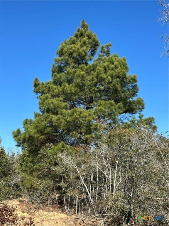 88.41 acres in Caldwell County - photo 28