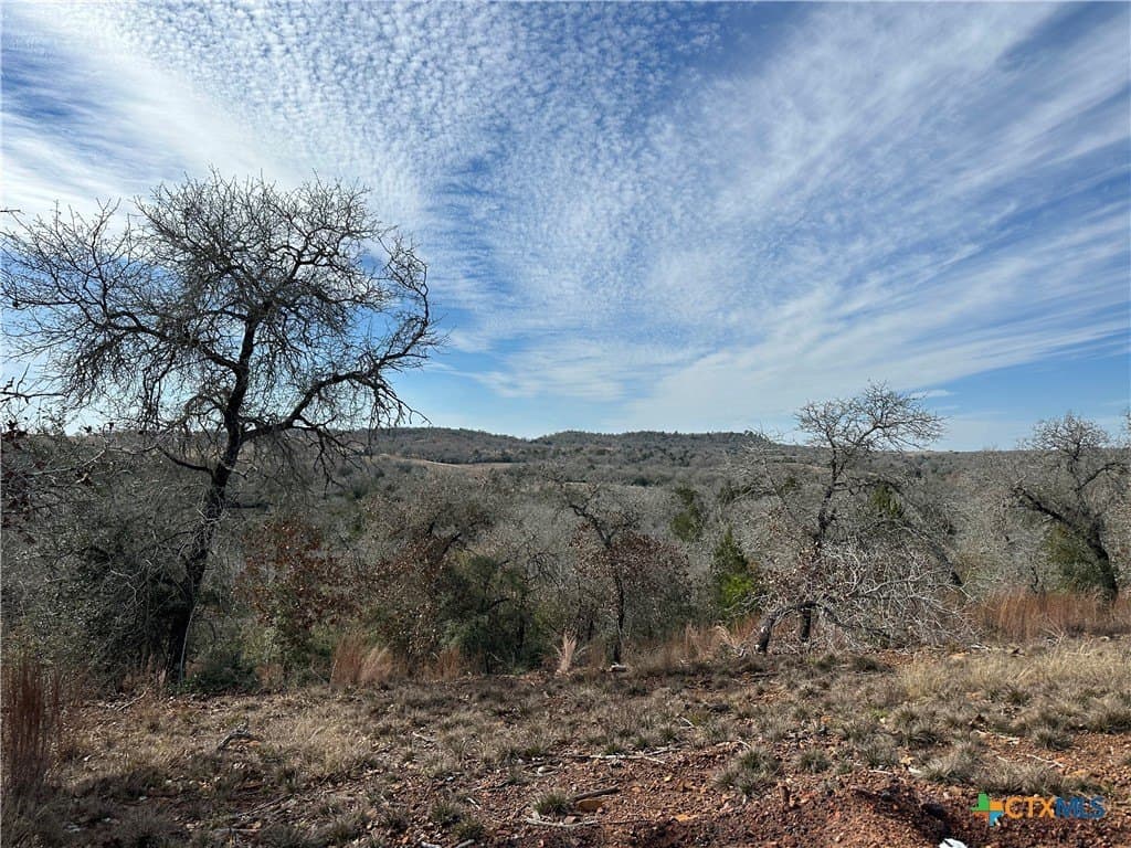 88.41 acres in Caldwell County - photo 6