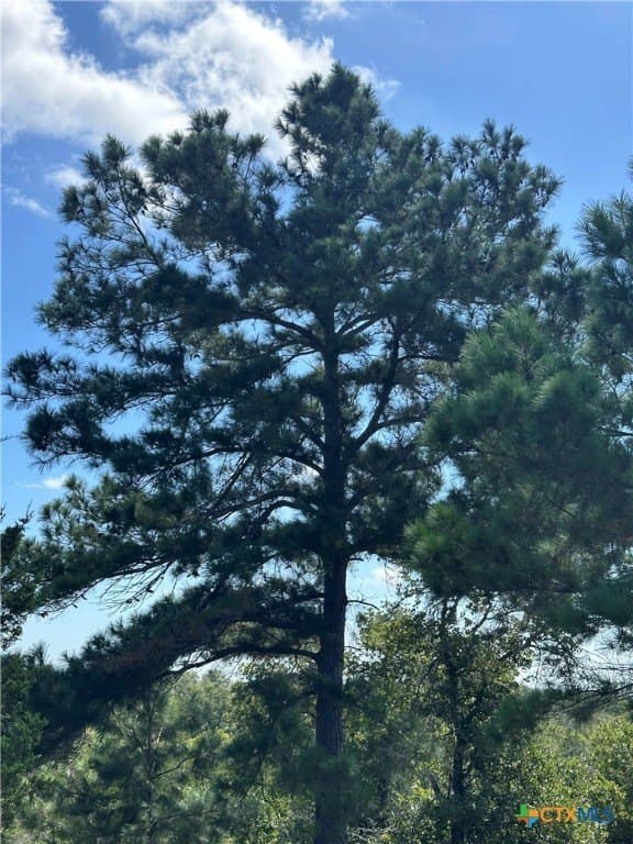 88.41 acres in Caldwell County - photo 29