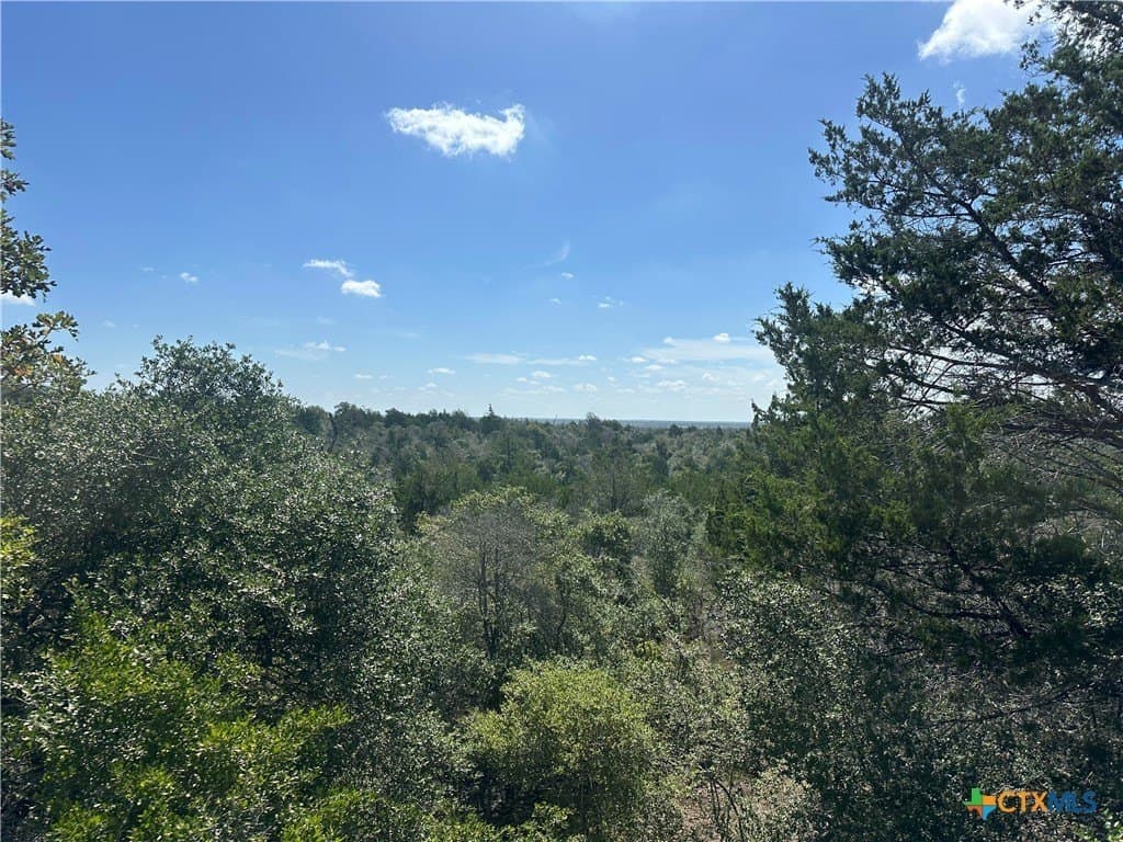 88.41 acres in Caldwell County - photo 24