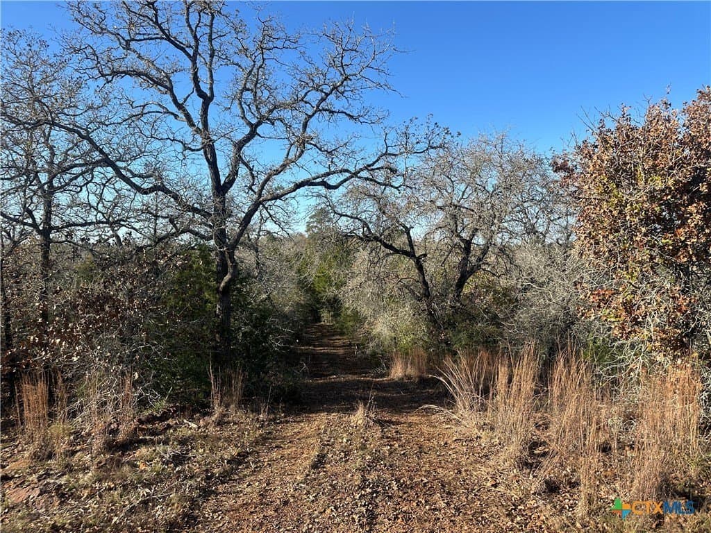 88.41 acres in Caldwell County - photo 8