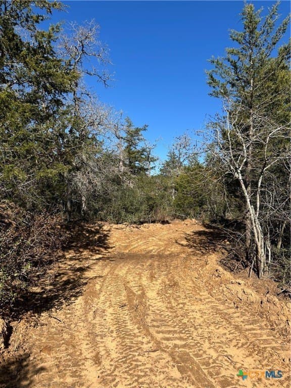 88.41 acres in Caldwell County - photo 27