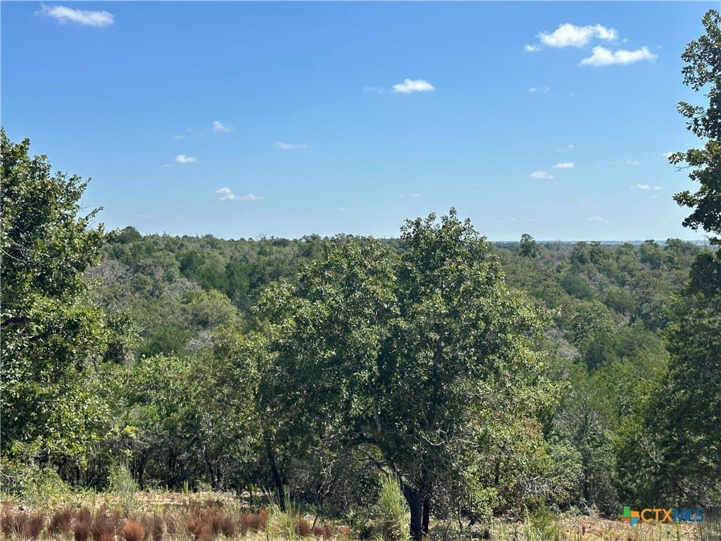 88.41 acres in Caldwell County - photo 20