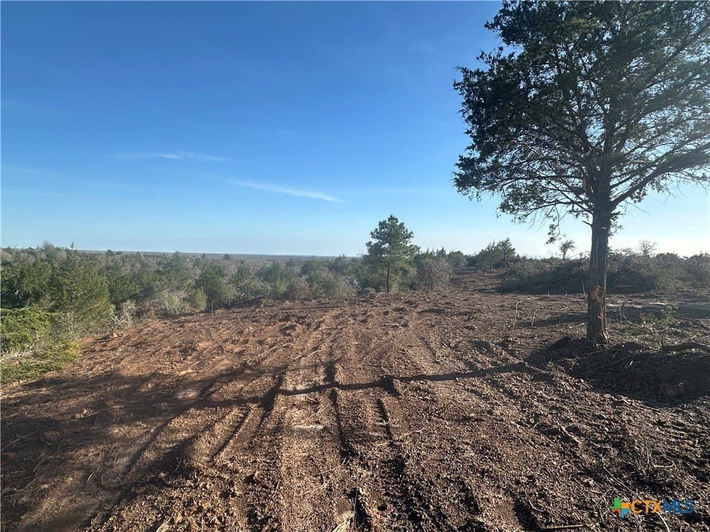 88.41 acres in Caldwell County gallery image 2