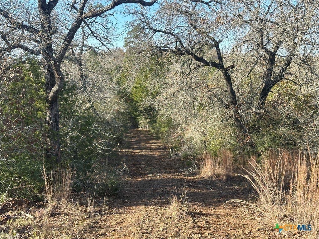 88.41 acres in Caldwell County - photo 9