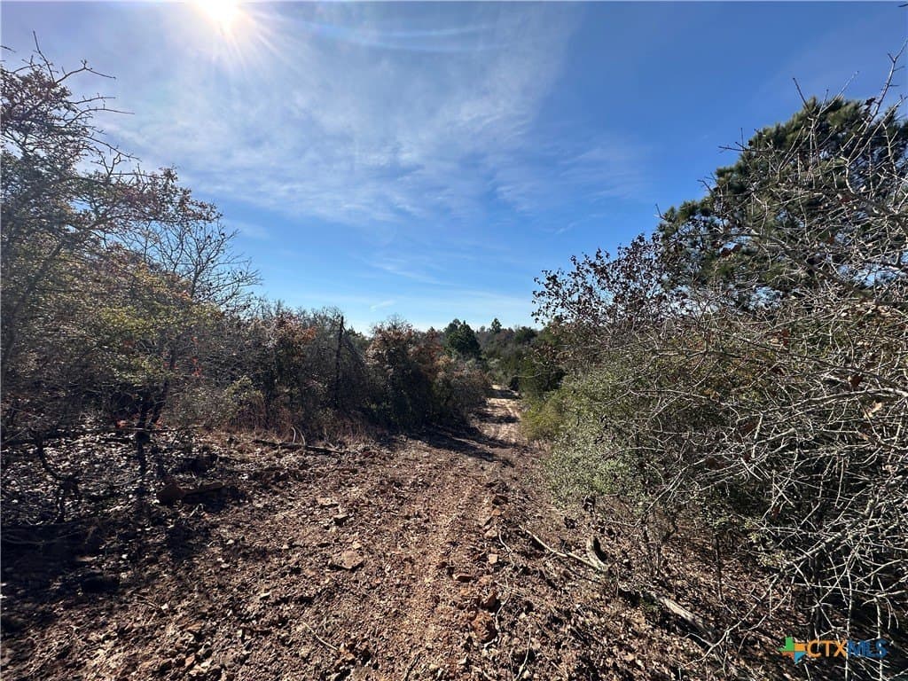 88.41 acres in Caldwell County - photo 26