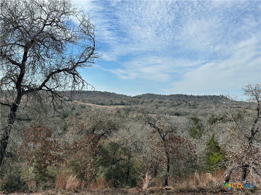 88.41 acres in Caldwell County - photo 7