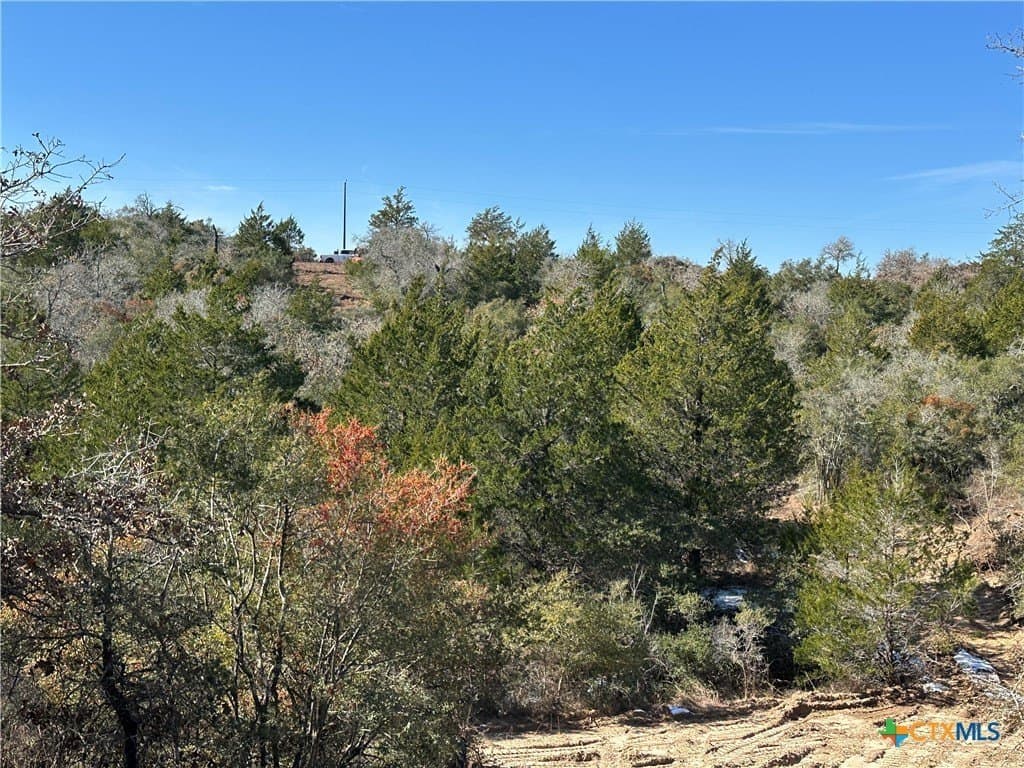 88.41 acres in Caldwell County - photo 25