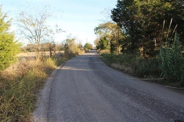 27.8 acres in Van Zandt County gallery image 4