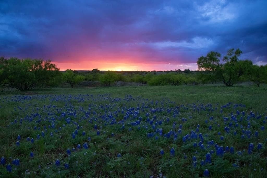 19.73 acres in Gillespie County - photo 36