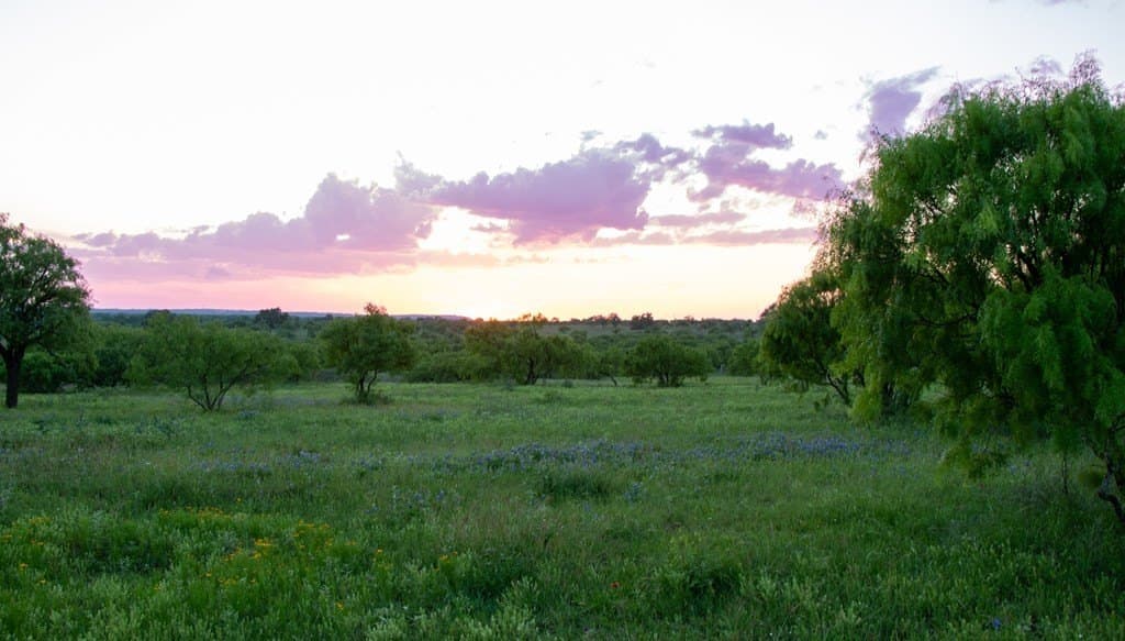 19.73 acres in Gillespie County - photo 8