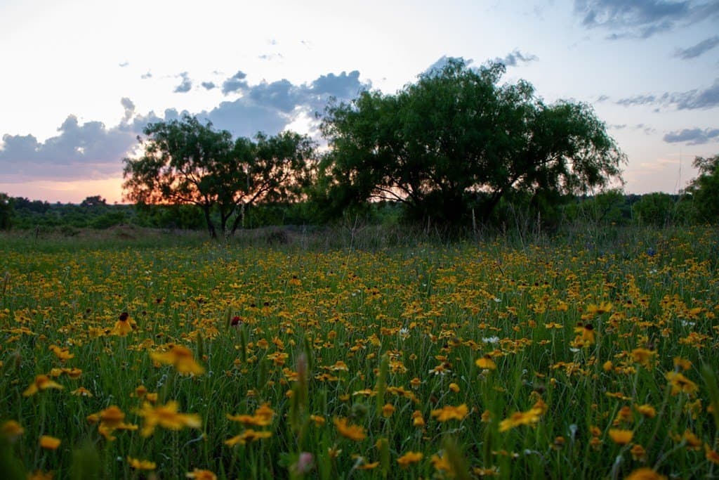 19.73 acres in Gillespie County - photo 9