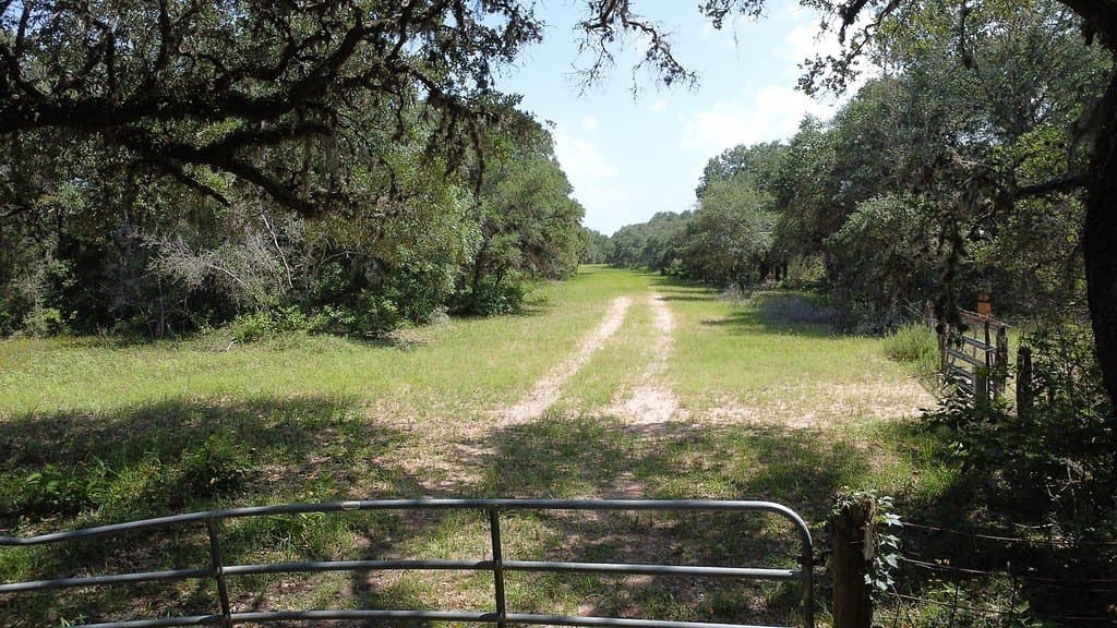 264 acres in Lavaca County gallery image 3
