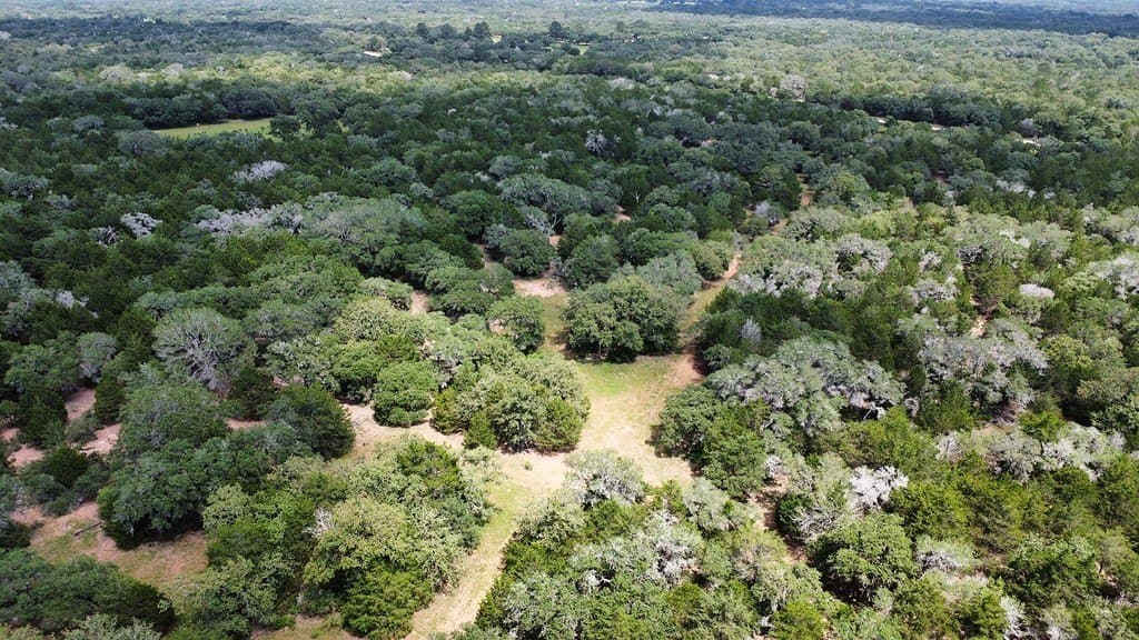 264 acres in Lavaca County - photo 21