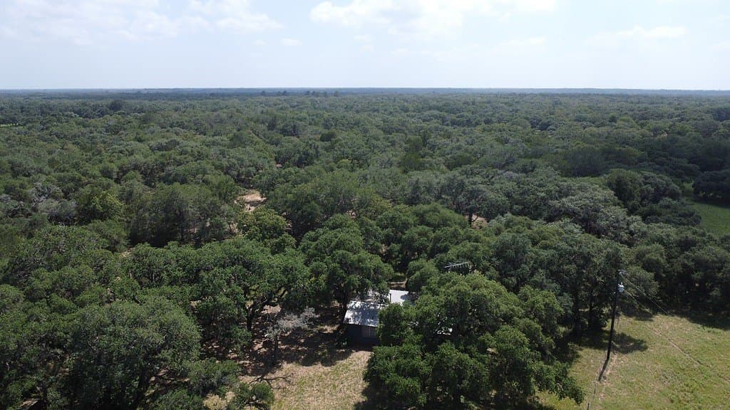 264 acres in Lavaca County - photo 7