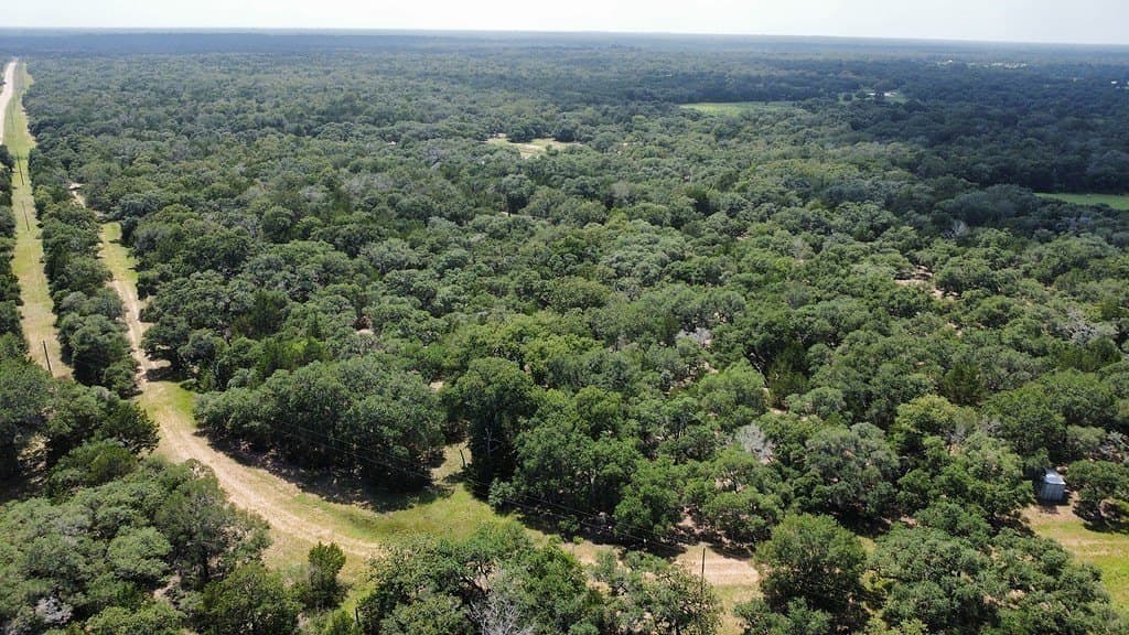 264 acres in Lavaca County - photo 16