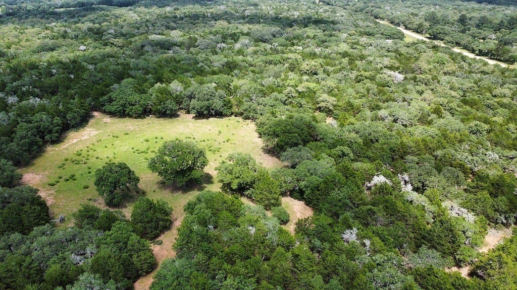 264 acres in Lavaca County - photo 20