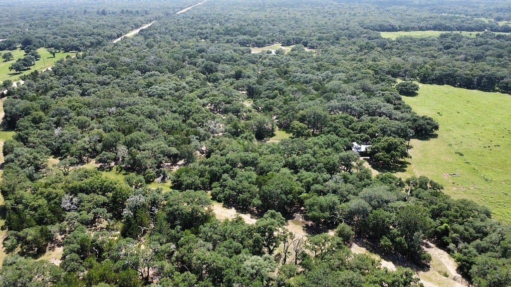 264 acres in Lavaca County - photo 15