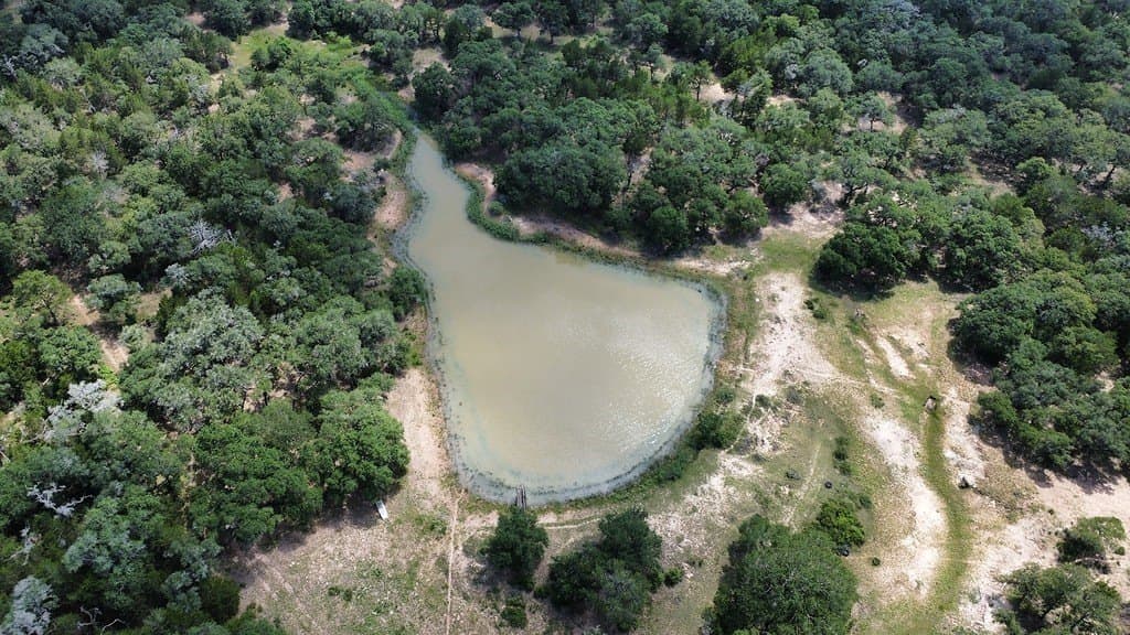 264 acres in Lavaca County - photo 9