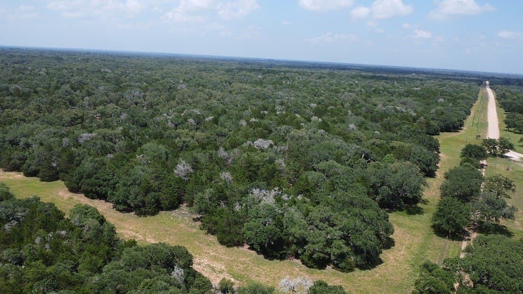 264 acres in Lavaca County - photo 11