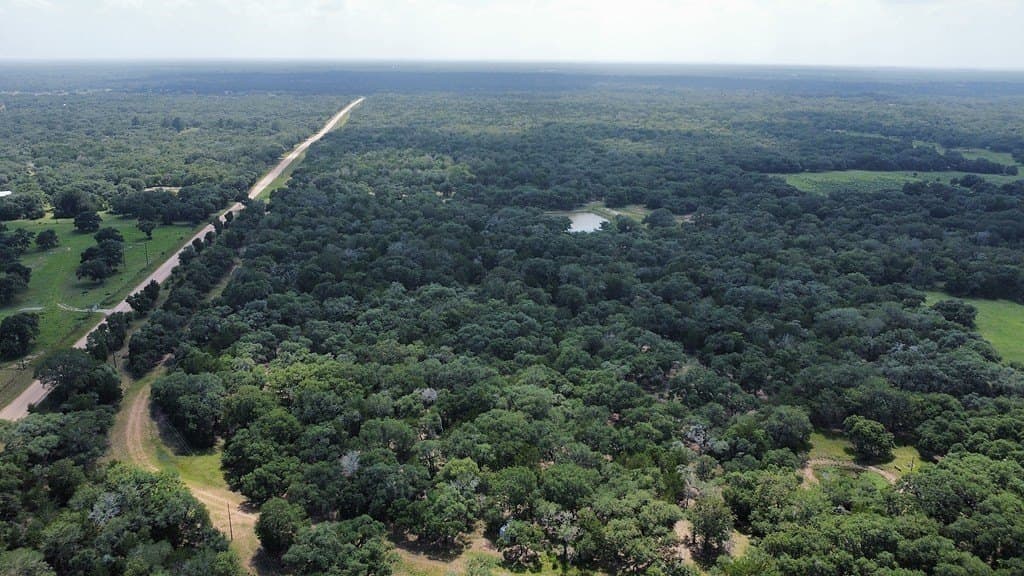 264 acres in Lavaca County - photo 24