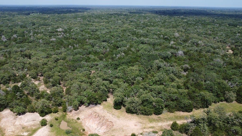 264 acres in Lavaca County - photo 12
