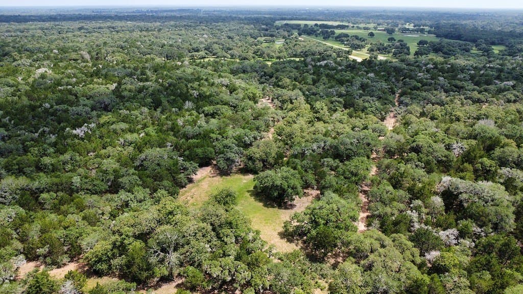 264 acres in Lavaca County gallery image 2