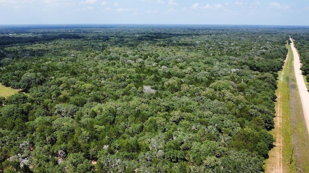 264 acres in Lavaca County - photo 13