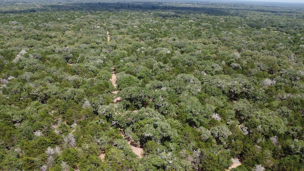 264 acres in Lavaca County - photo 19