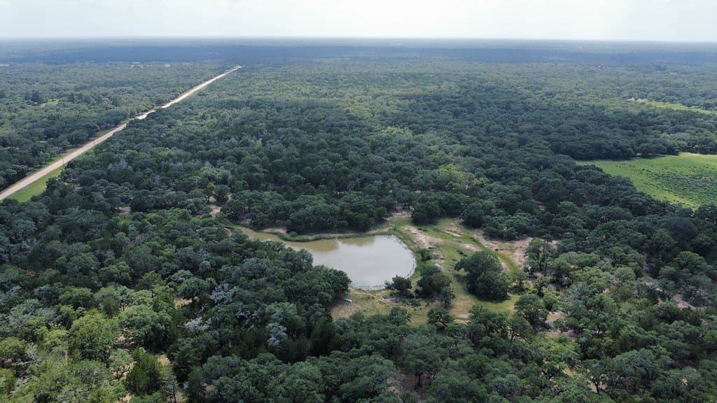 264 acres in Lavaca County - photo 8