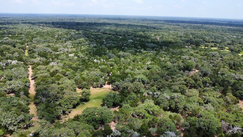 264 acres in Lavaca County - photo 22