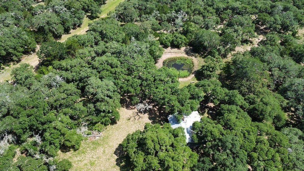 264 acres in Lavaca County - photo 6