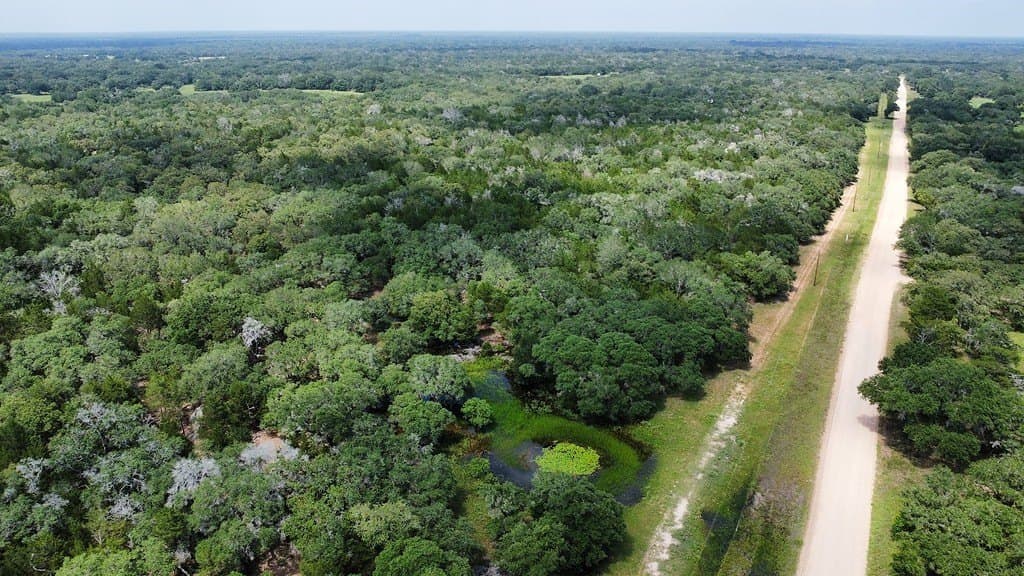 264 acres in Lavaca County - photo 10