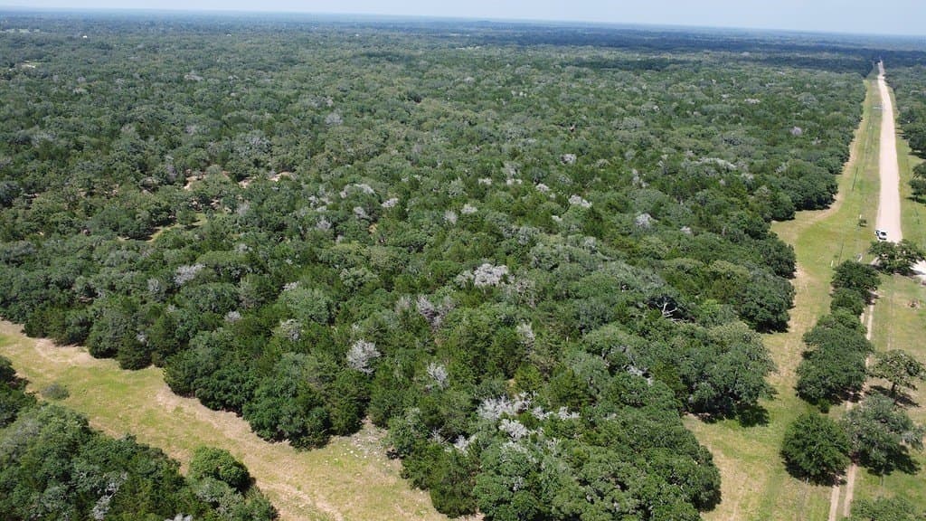 264 acres in Lavaca County - photo 17
