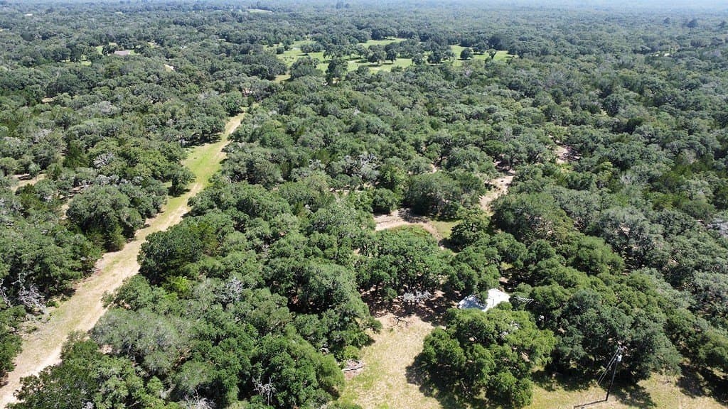 264 acres in Lavaca County - photo 23