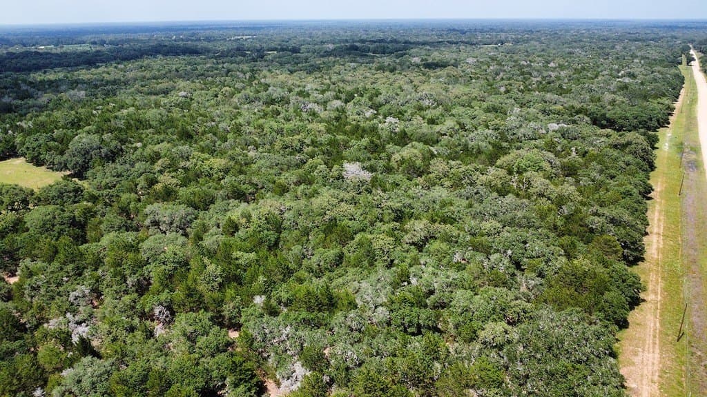 264 acres in Lavaca County - photo 25