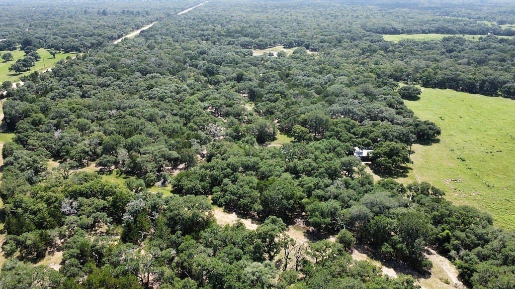 264 acres in Lavaca County - photo 18