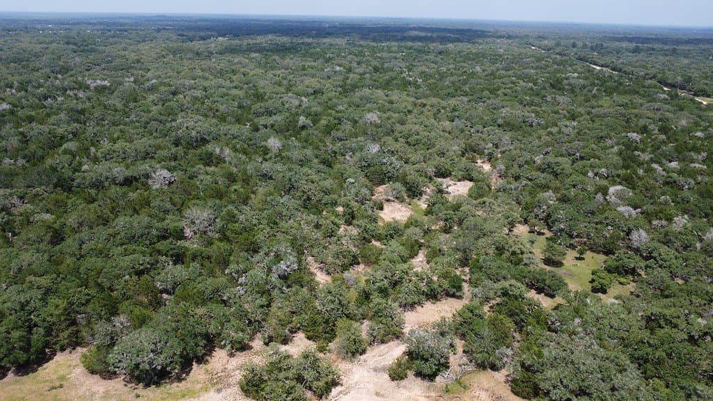 264 acres in Lavaca County - photo 14