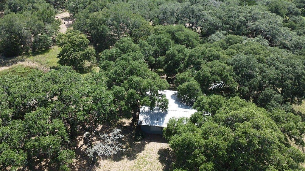 264 acres in Lavaca County gallery image 4