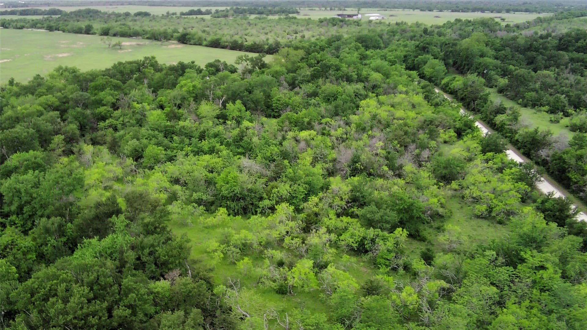 20.74 acres in Limestone County - photo 6