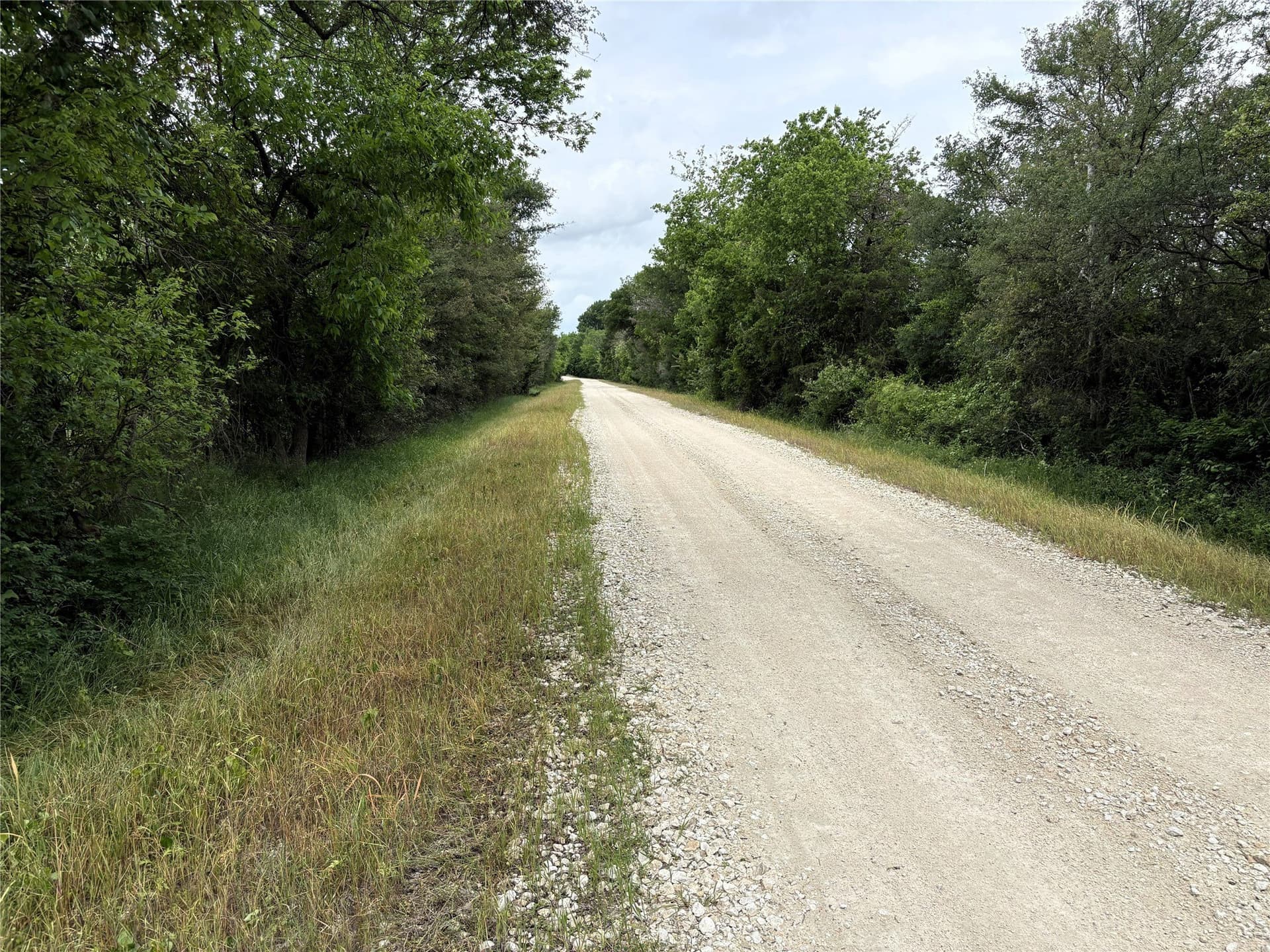 20.74 acres in Limestone County - photo 8