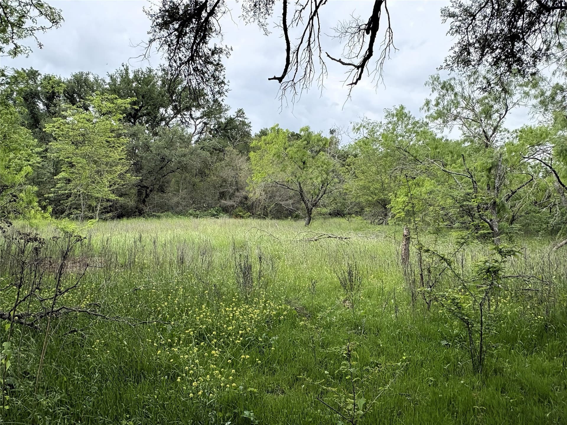 20.74 acres in Limestone County - photo 7