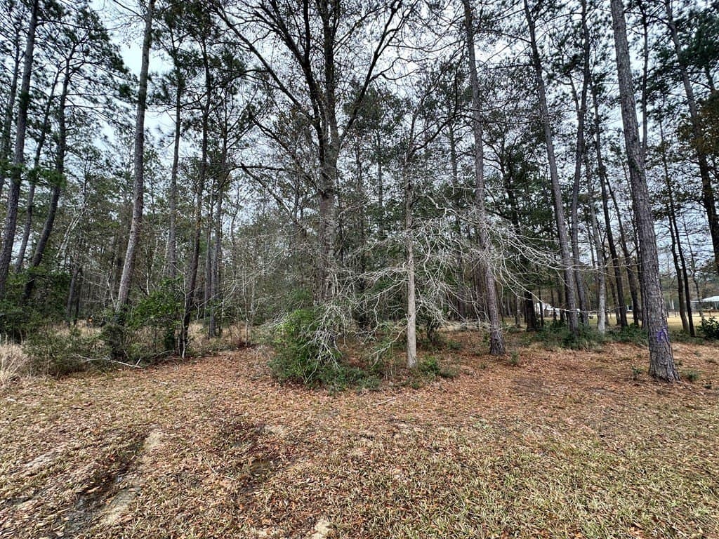 7.46 acres in Texas County gallery image 3