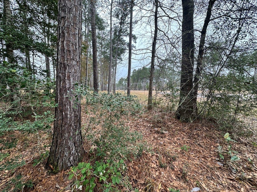 7.46 acres in Texas County featured view