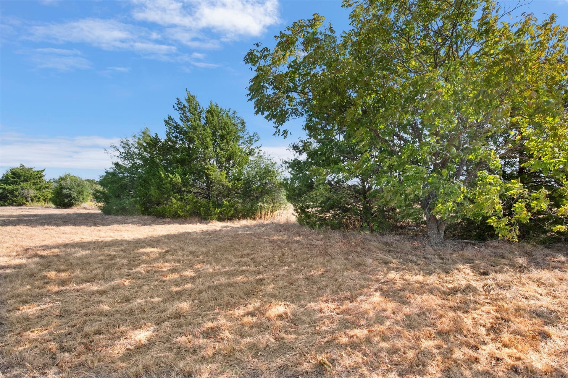 12.13 acres in Ellis County - photo 17